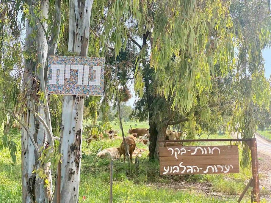 Villa אחוזת היניבים Yaniv Estate Nurit Exterior foto